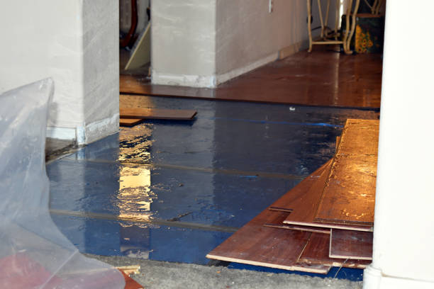 Professional Water Damage Restoration technician working in Winthrop, MA